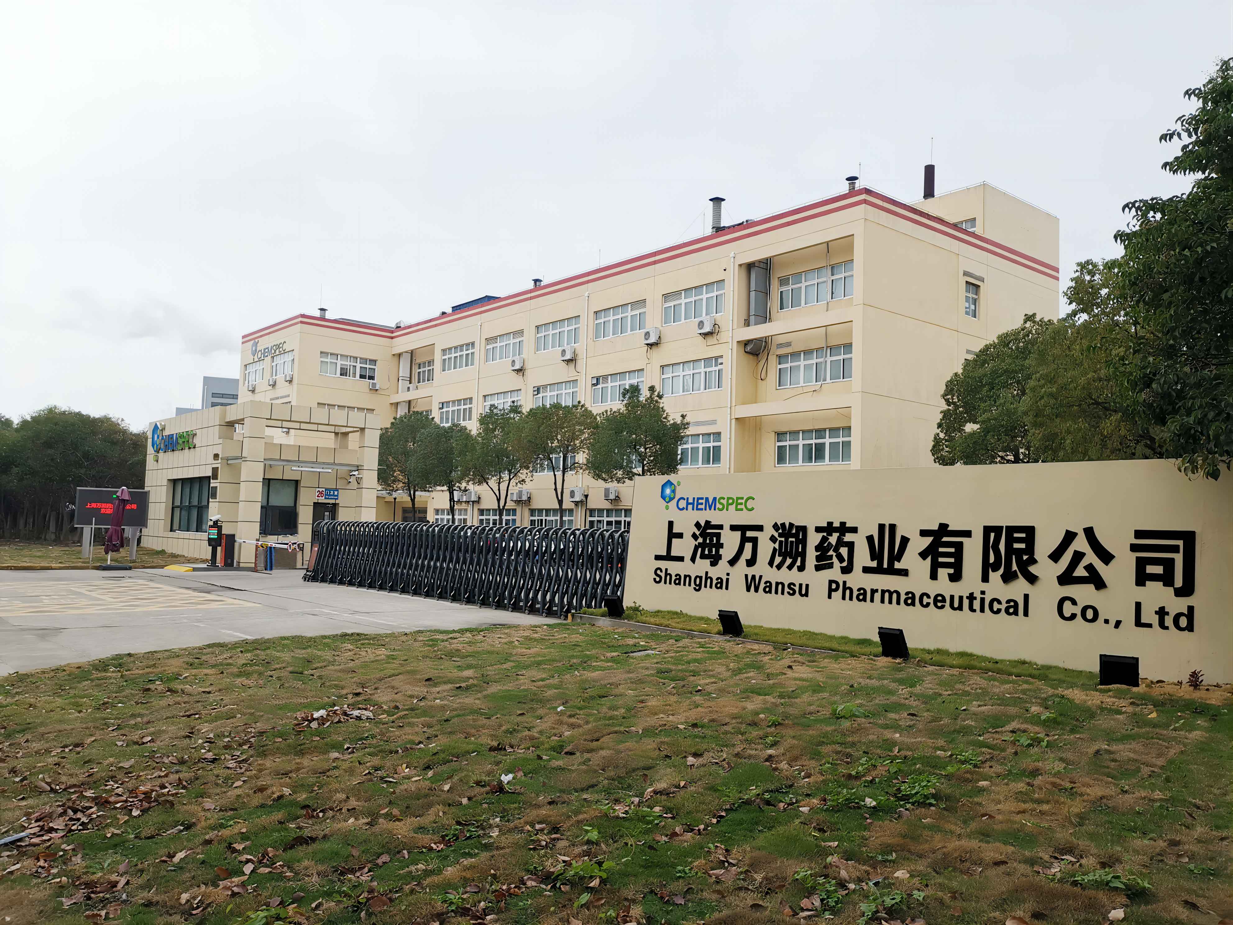 1701133921587814.jpg ws.jpg